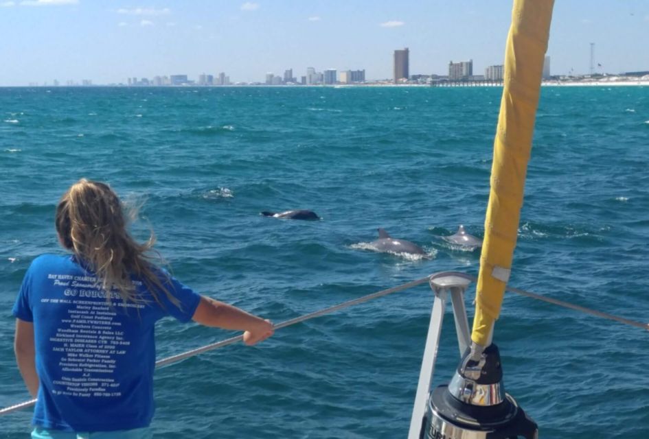 Panama City Beach: Dolphin Watching Trip by Catamaran - Tour Duration and Amenities