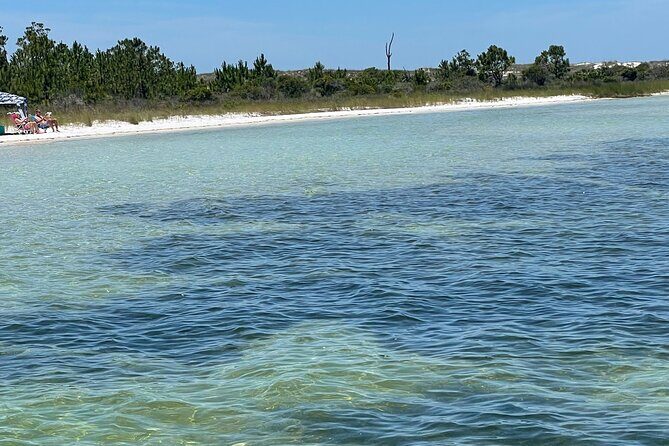 Panama City Beach Florida, Dolphin, Shell Island and Eco Tours - In-Depth Analysis of the Price and Value