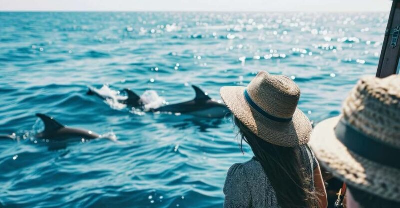 Panama City Beach: Private Dolphin Cruise - Detailed Itinerary