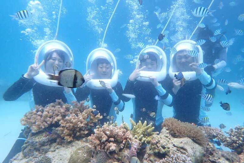 Panglao: Helmet Diving Experience with Photos and Videos - Key Points
