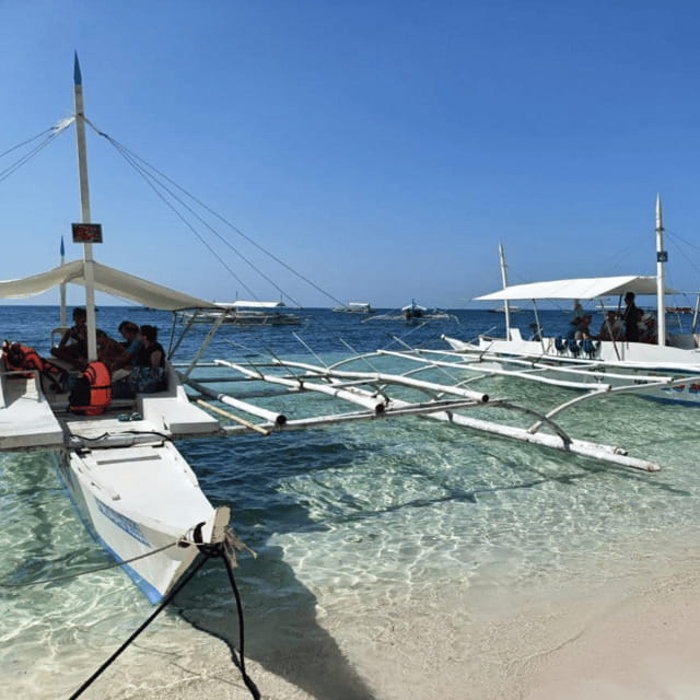 Panglao: Island Hopping w/Balicasag (Shared) - Key Points