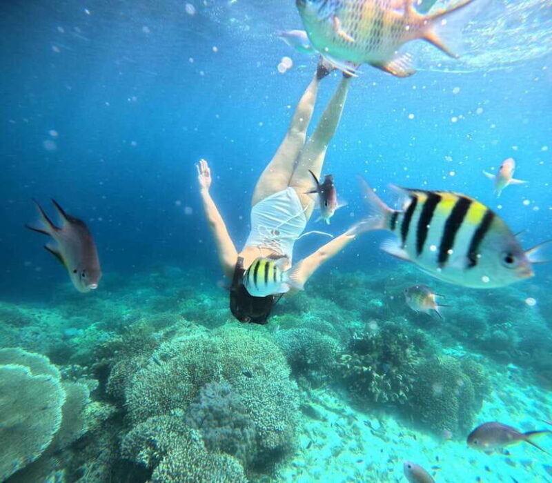 Panglao: Island Hopping w/Balicasag (Shared) - How Do the Reviews Reflect the Experience?