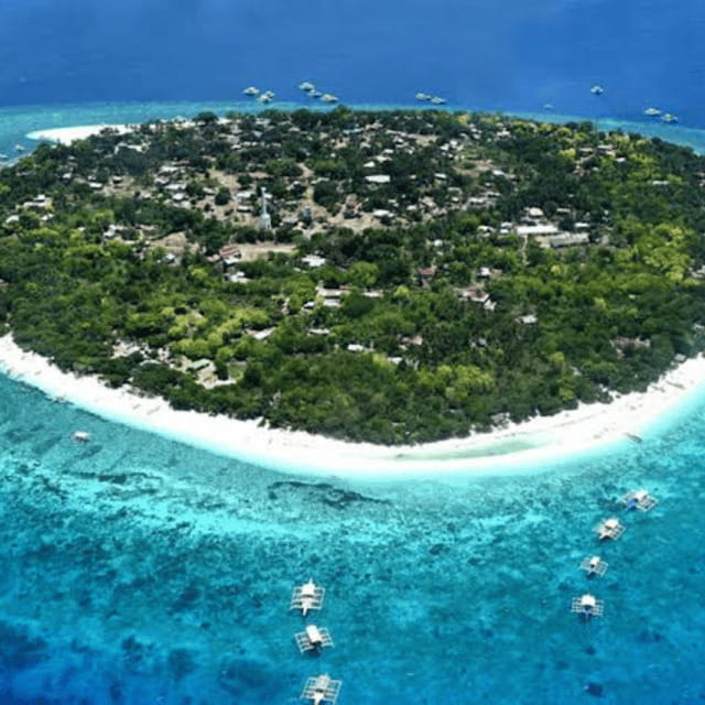 Panglao: Island Hopping w/Balicasag (Shared) - Final Thoughts