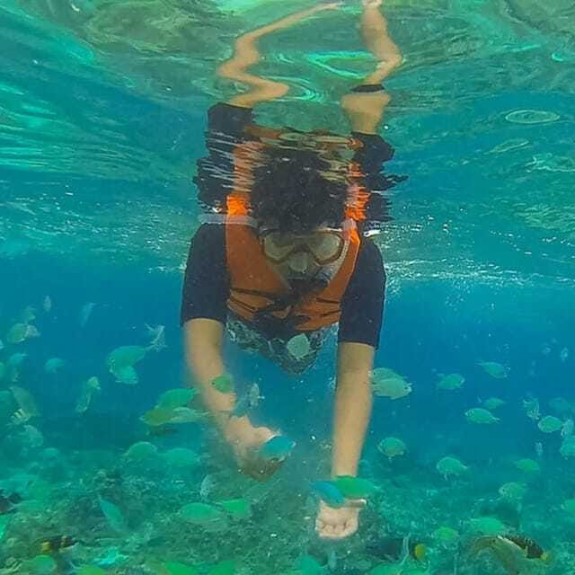 Panglao:Balicasag Island Tour with Turtle & Dolphin Watching - FAQ  