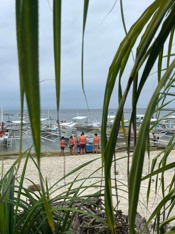 Panglao:Balicasag & Virgin Island PRIVATE with Lunch - FAQs