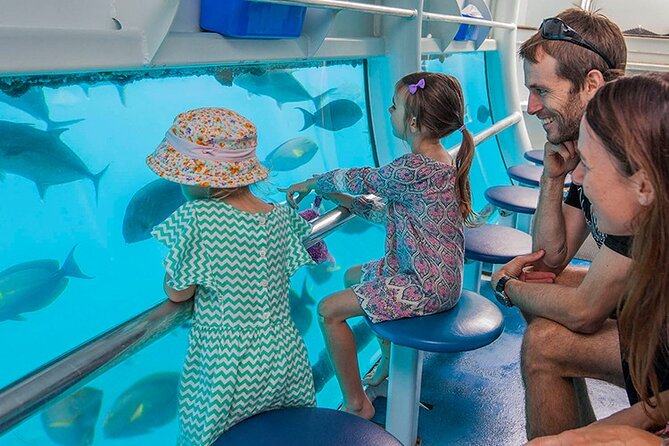 Panorama Semi Submarine Snorkelling Cruise in Makadi Bay - Customer Feedback and Reviews