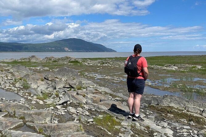 Panoramic and historical tour of the Île d'Orléans - An Authentic Look at Île dOrléans: A Guided Tour Review