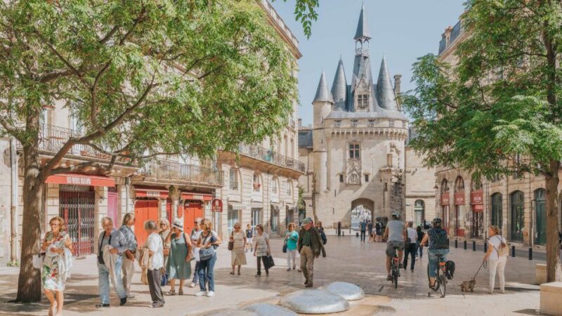 Panoramic Bordeaux Tour in a Premium Vehicule With a Guide - Additional Inclusions
