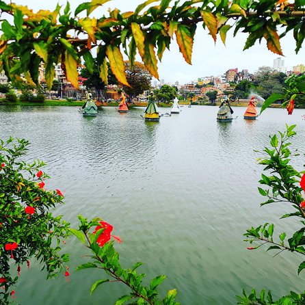 Panoramic City Tour - Historic Architecture and Culture