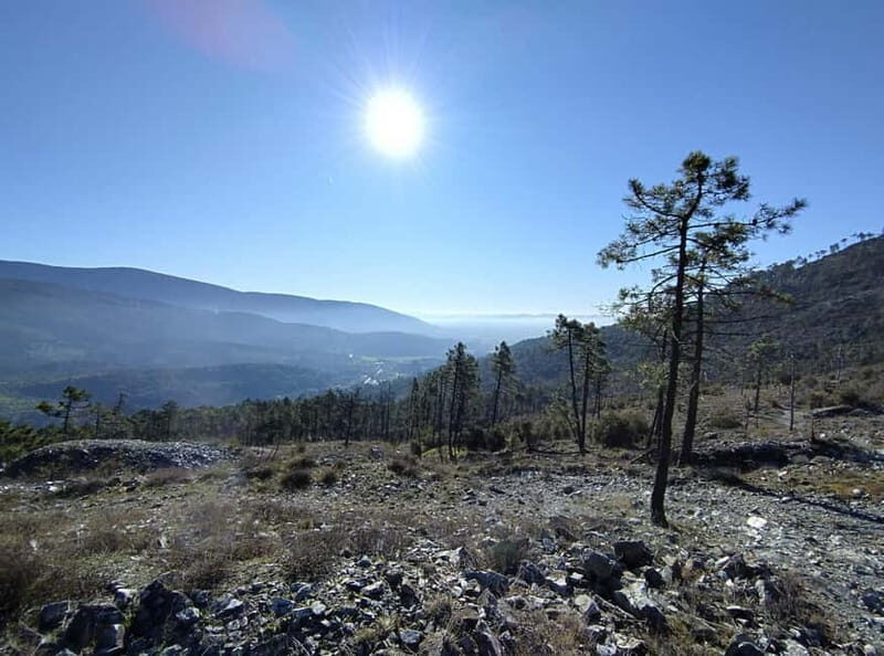 Panoramic hiking in the Florentine hills with Vincenzo - Final Thoughts: Who Will Love This Tour?