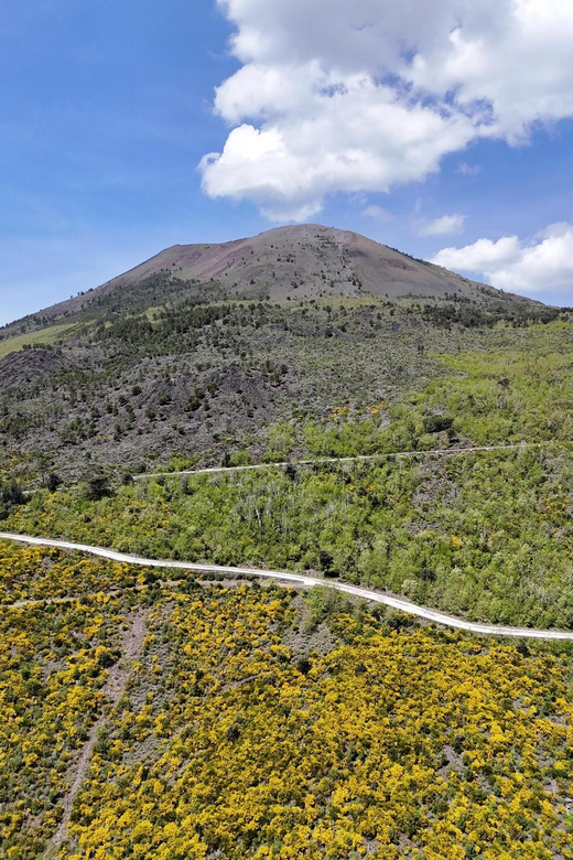 Panoramic Path of Strada Matrone-Vesuvio - Experience Description