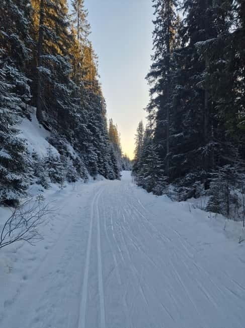 Panoramic Peaks  Oslos Best Fjord Views Hike - Exploring Oslo from Above: A Guide to Panoramic Peaks and Fjord Views