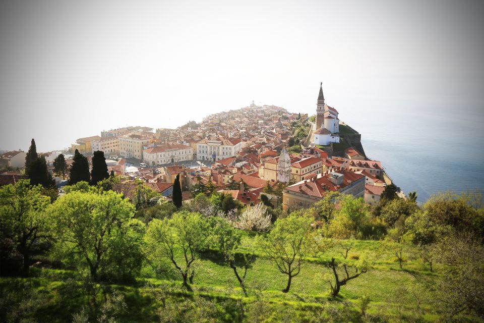 Panoramic Piran and Salt Pans: E-Bike Boutique Tour - Inclusions and Restrictions