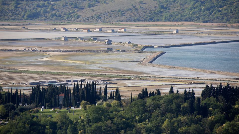 Panoramic Piran and Salt Pans: E-Bike Boutique Tour - Wine and Food Tasting