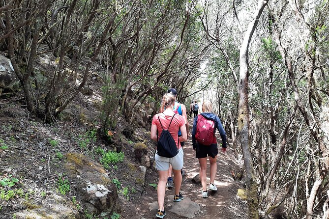 Panoramic Route Across the Teno Rural Park in Tenerife - Recommended Gear