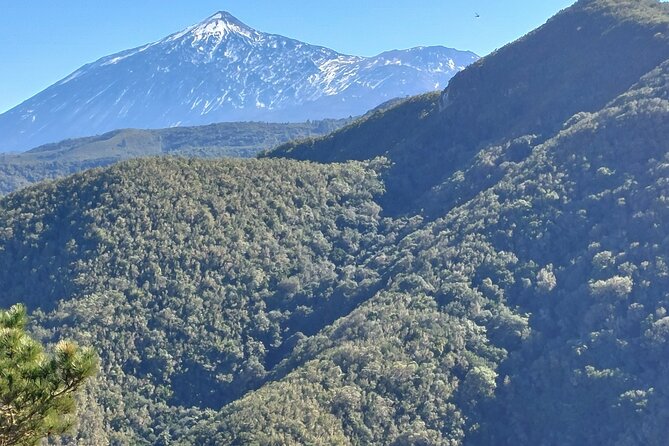 Panoramic Route Across the Teno Rural Park in Tenerife - Weather Considerations