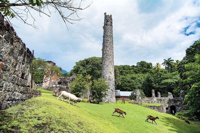 Panoramic Sightseeing Tour of St Kitts - Key Points
