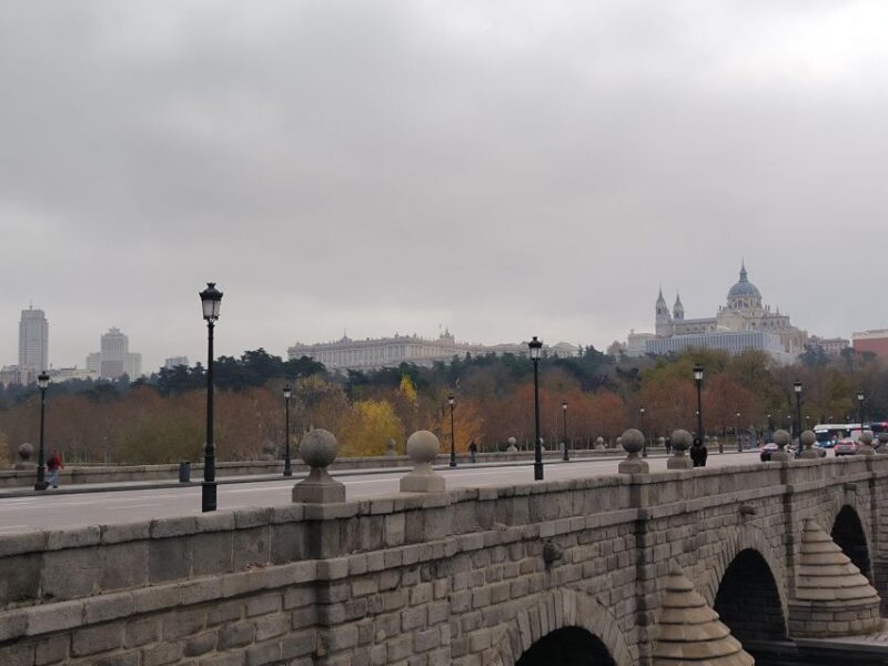 Panoramic Tour of Madrid With Private Guide and Private Car - Inclusions