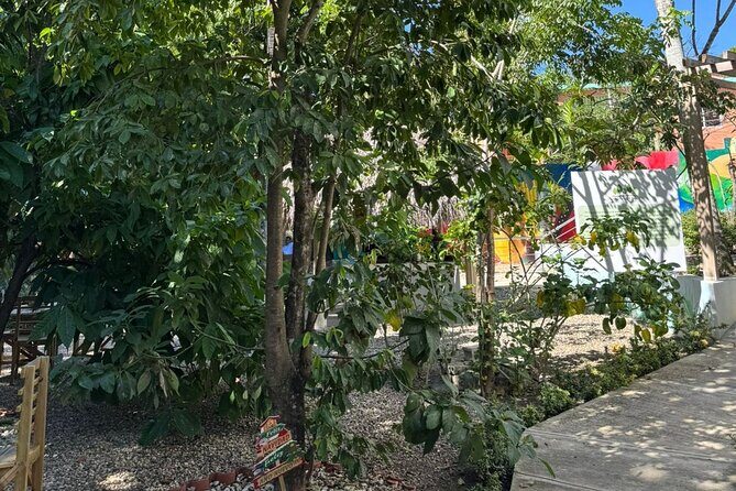 Panoramic Tour of the Reality of the Countryside and Village - Who Will Enjoy This Tour?