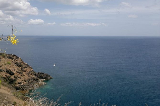Panoramic View Adventure - A St. Lucian Easy Hike Tour - Frequently Asked Questions