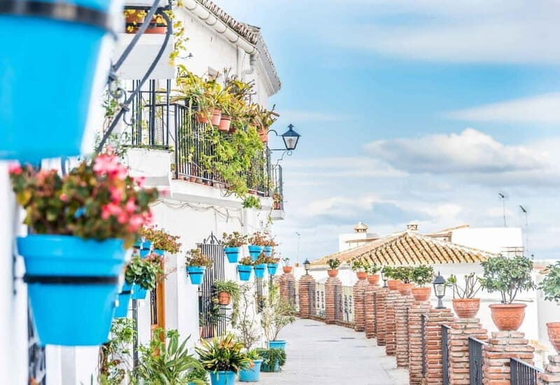 Panoramic View of Malaga with Wine Museum from Costa del Sol - Pricing and Value