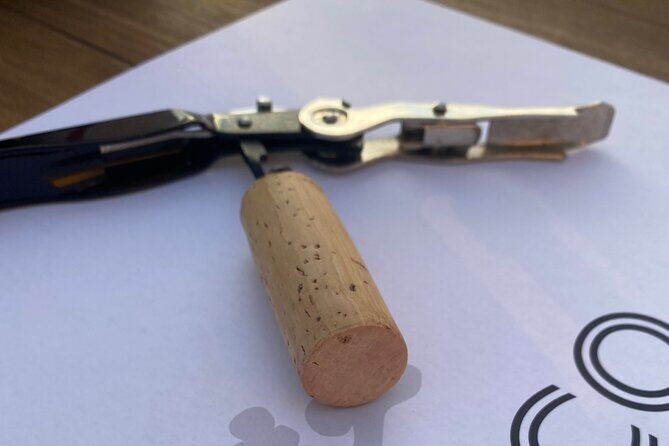 Panoramic wine tasting in Oltrepò Pavese - An Introduction to the Experience