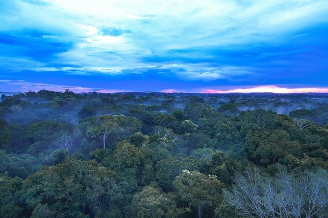 Pantanal & Amazon Holiday - Private Multi Day Tour - Cancellation Policy