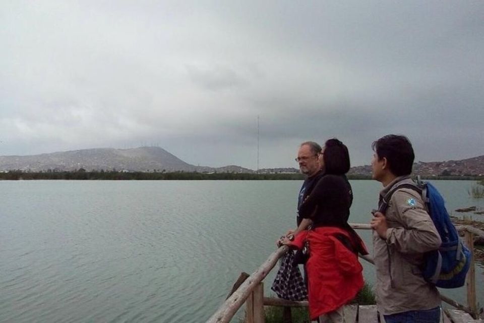 Pantanos De Villa Wildlife Refuge Tour in Lima - Key Points