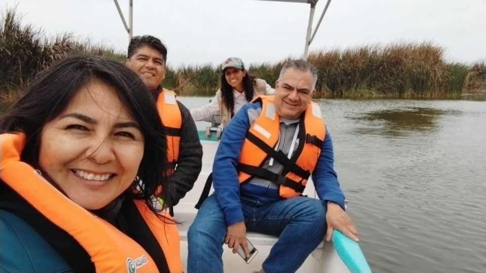 Pantanos De Villa Wildlife Refuge Tour in Lima - Wildlife Viewing Experience