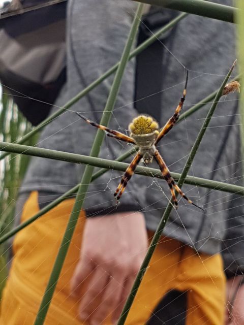 Pantanos De Villa Wildlife Refuge Tour in Lima - Frequently Asked Questions