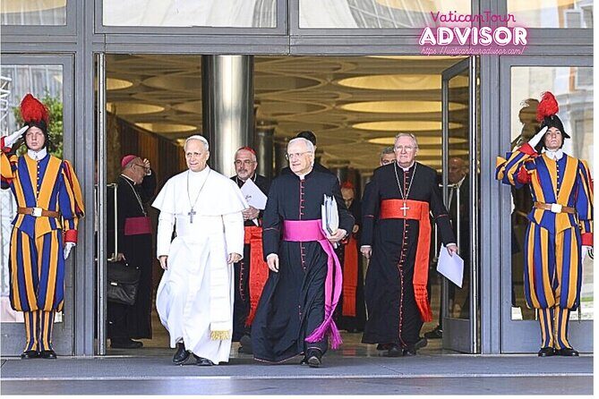 Papal Audience with Pope Leo XIV Exclusive Guided Experience - Final Thoughts: Is This Tour for You?