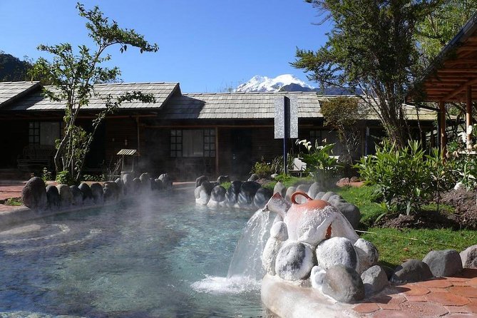 Papallacta Hot Springs in Cayambe Coca Reserve - Exploring the Surrounding Flora and Fauna