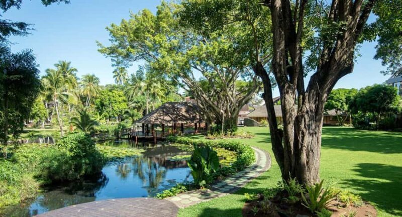 Papeete: Guided City Tour & Pearl Museum Visit - An In-Depth Look at What to Expect