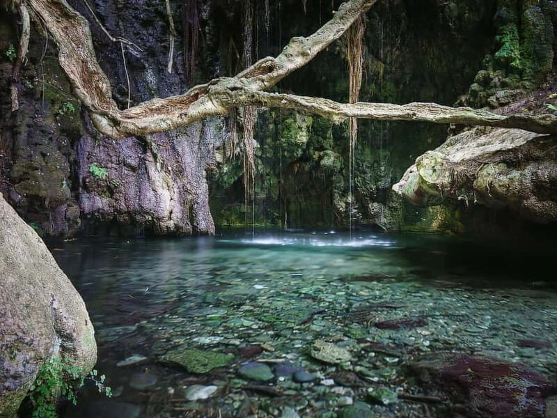 Paphos: Akamas, Baths of Aphrodite and Blue Lagoon Day Tour - Who Will Love This Tour?