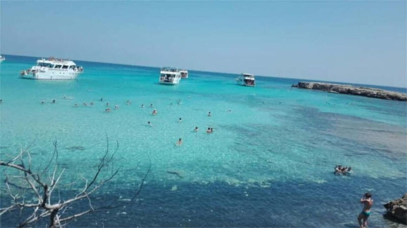 Paphos: Akamas, Waterfalls & Blue Lagoon of Aphrodite Tour - The Value of This Tour