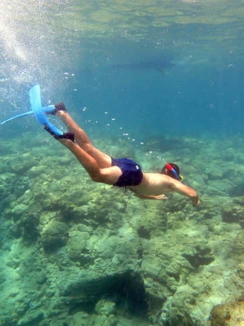 Paphos: Blue Lagoon Cruise-BBQ Lunch, Open Bar, Slide - A Detailed Look at the Blue Lagoon Cruise