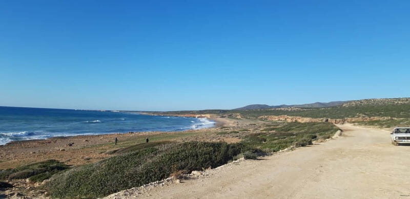 Paphos: Buggy Safari to Akamas Peninsula with Lunch - Authenticity and Value