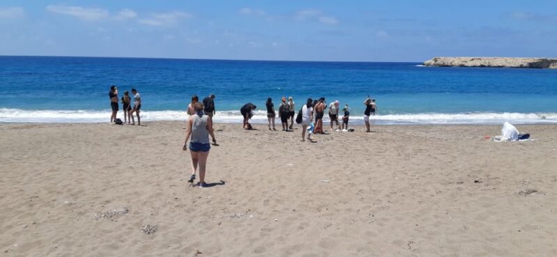 Paphos: Buggy Tour Akamas Incl and Adonis Falls - Requirements and Recommendations