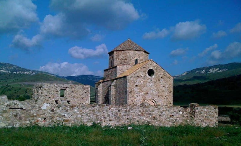 Paphos/Limassol: Donkey Farm Day Trip with Lunch & Tastings - Deep Dive into the Experience: What You’ll Love and Consider