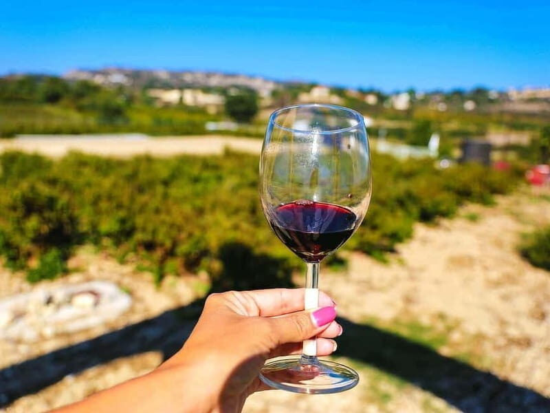 Paphos: Local Wineries Tour with Wine Tastings - A Deep Dive into the Experience