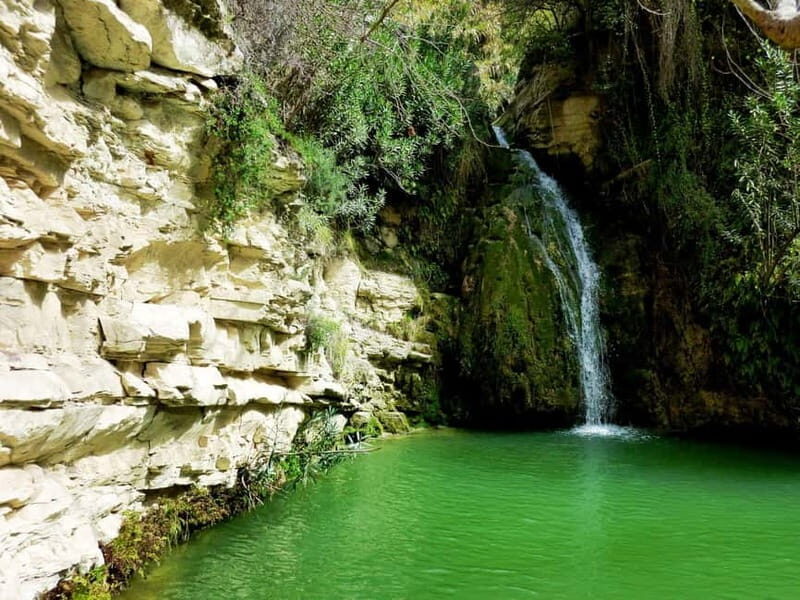 Paphos: Private Jeep Bath of Aphrodite including Waterfalls - An In-Depth Look at the Tour