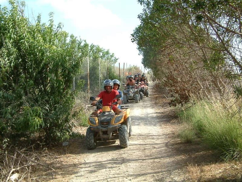 Paphos: Quad and Buggy Afternoon Safari to Adonis Waterfalls - Key Points