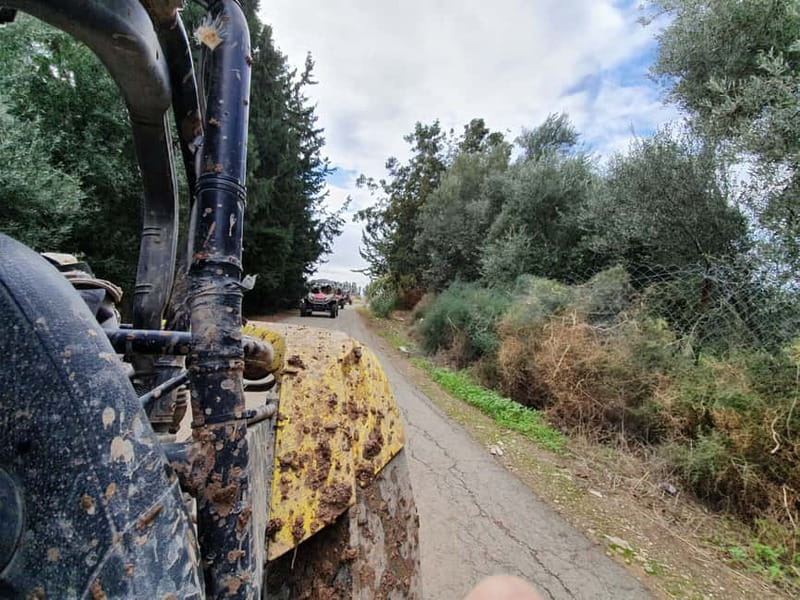 Paphos: Seaside and off Road Buggy Safari - Who Is This Tour Best Suited For?