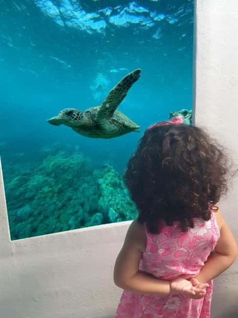 Paphos: Swim Cruise with Turtle Watching, Drinks & Aperol - The Sum Up: Who Should Consider This Experience?