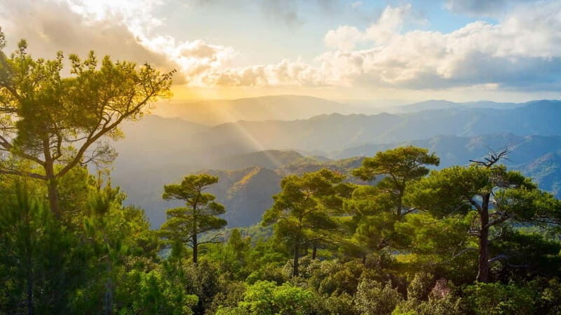 PAPHOS: Troodos Mountains "Monasteries & Villages" by coach - Key Points