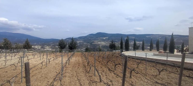 Paphos: Troodos Mountains Villages Tour with Wine Tasting - FAQ