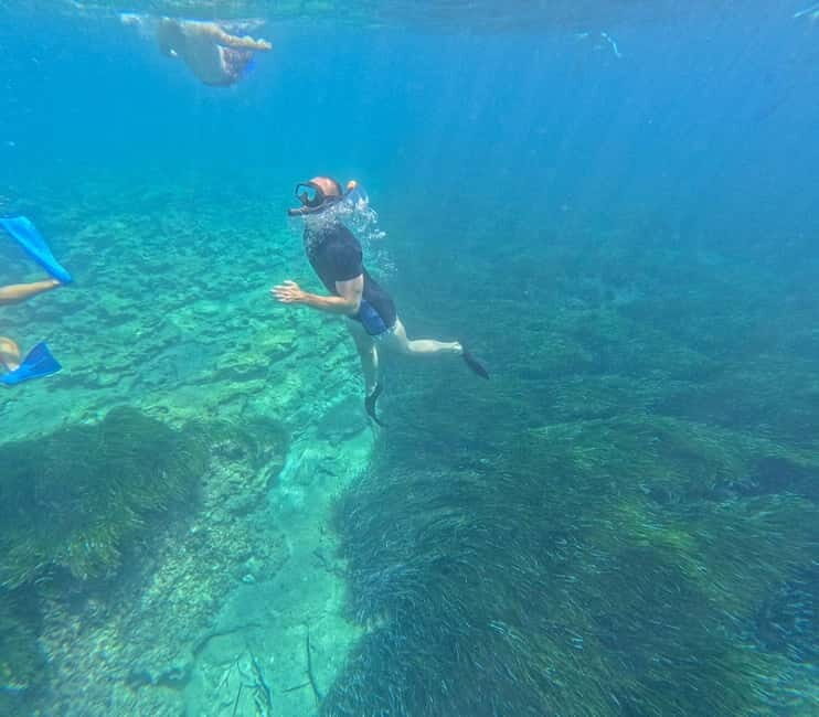 Paphos: Turtle-Watching Snorkeling Sea Scooter Trip - Authentic Experiences from Travelers