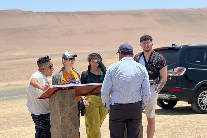 PARACAS! Ballestas Islands + PARACAS National Reserve + Candelabro and Much More - Traveler Insights: Reviews and Feedback