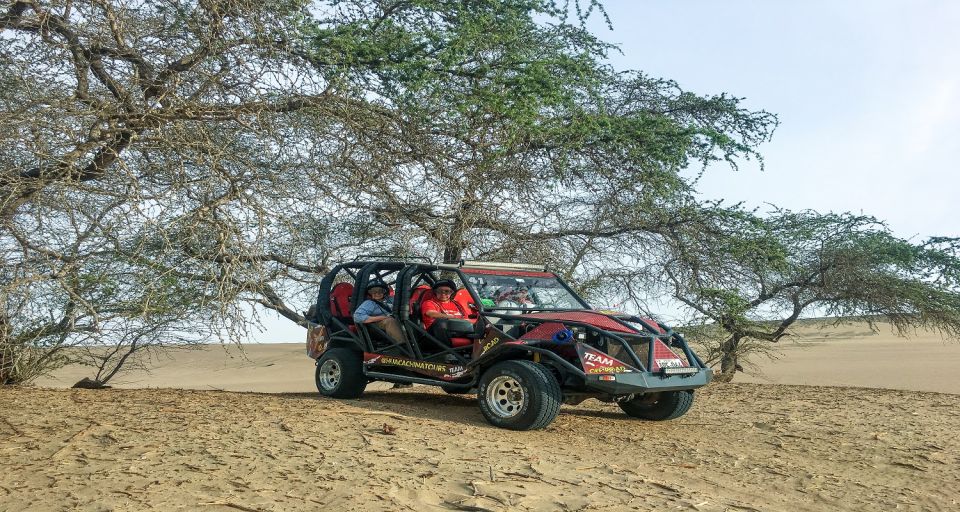 Paracas: Buggy and Sandboard Adventure - Preparation Tips