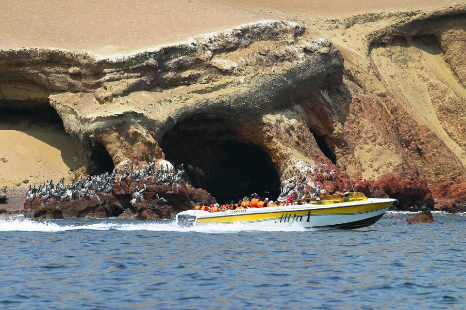 Paracas Islands & Huacachina Oasis in Ica-Adventure&Wildlife - Highlights and Attractions